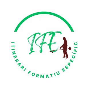IFE